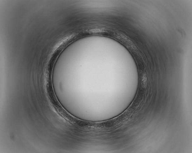 X0000110860732200907021415