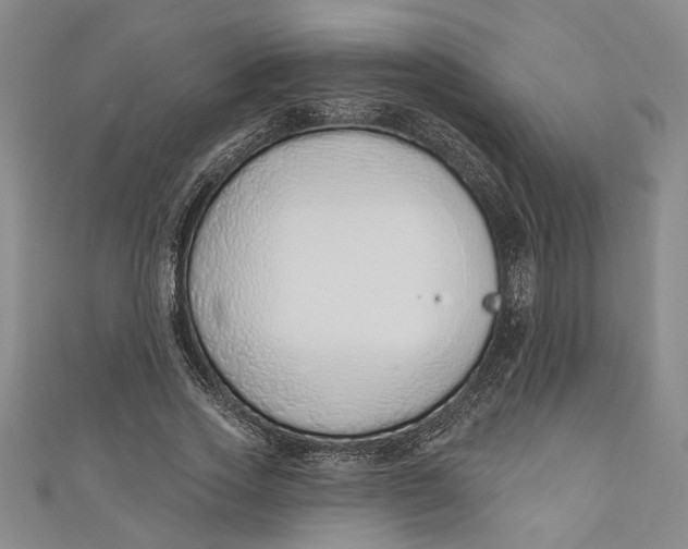 X0000110860733200907021415