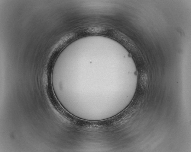 X0000110860734200907021415