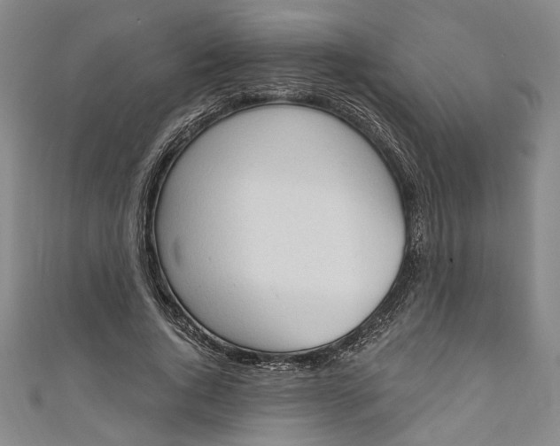 X0000110860736200907021415