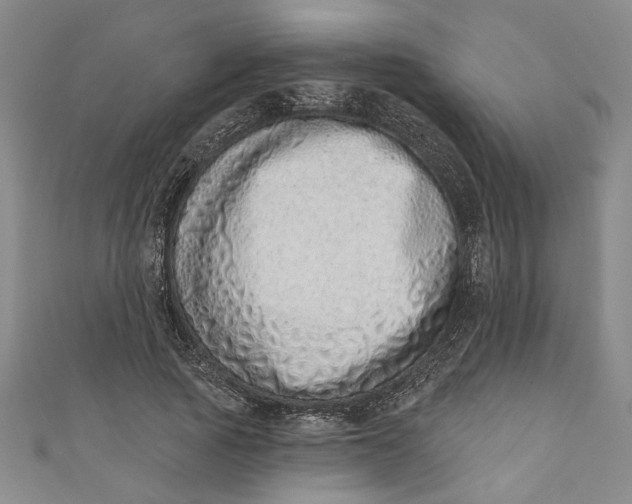 X0000110860737200907021415