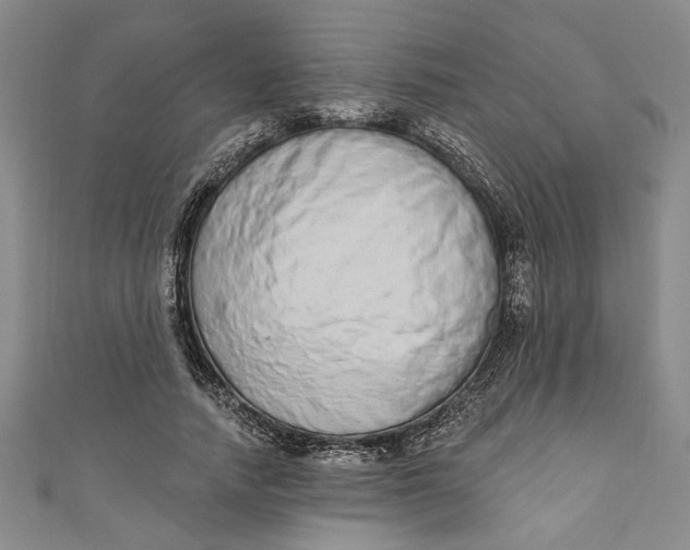 X0000110860738200907021415