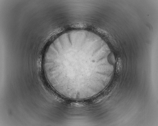 X0000110860739200907021415