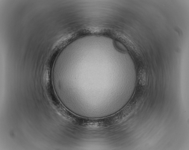 X0000110860740200907021415