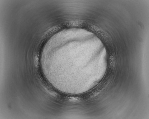 X0000110860741200907021415