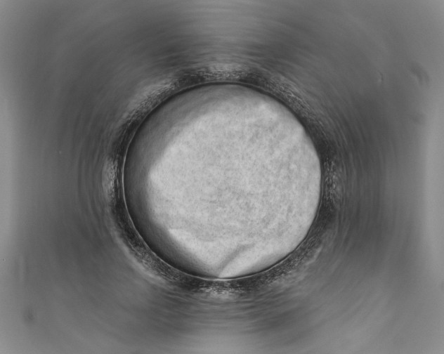 X0000110860742200907021415