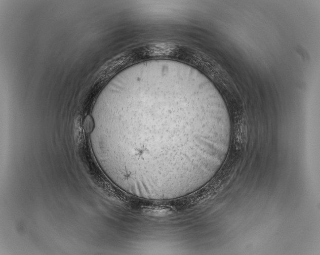 X0000110860743200907021415