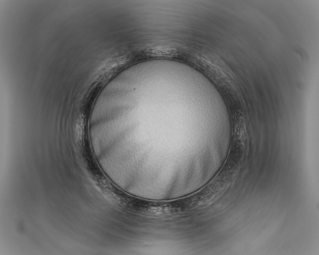 X0000110860744200907021415