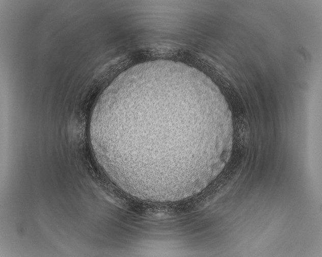 X0000110860745200907021415