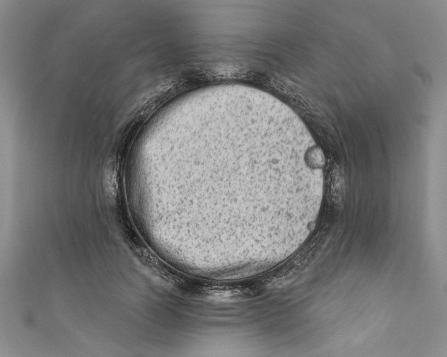 X0000110860746200907021415