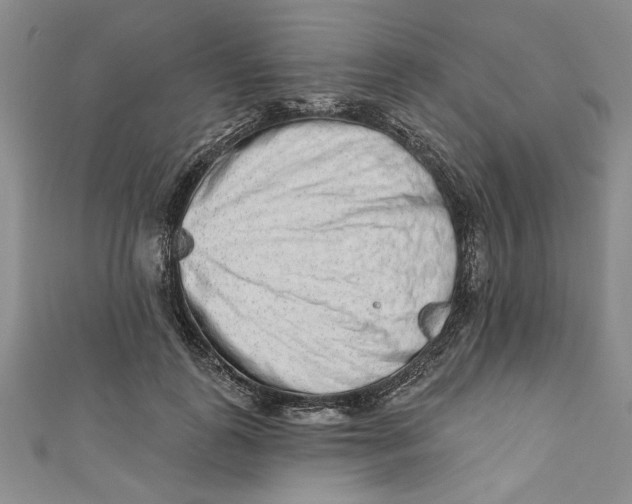 X0000110860747200907021415