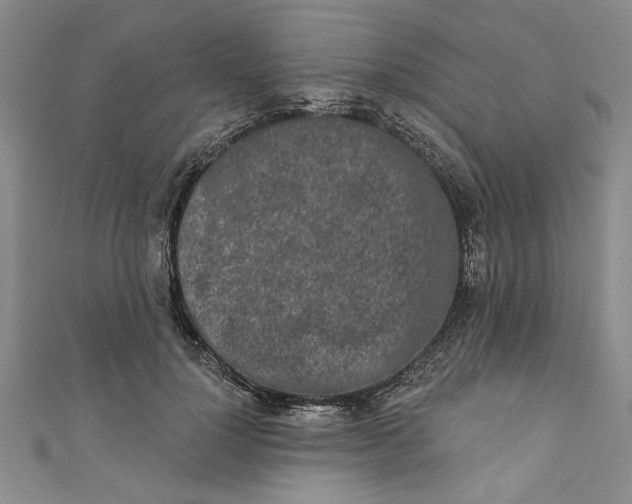 X0000110860748200907021415