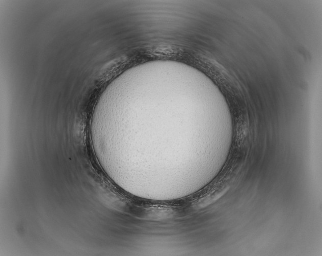 X0000110860749200907021415