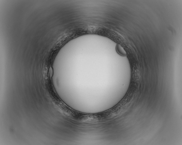 X0000110860750200907021415