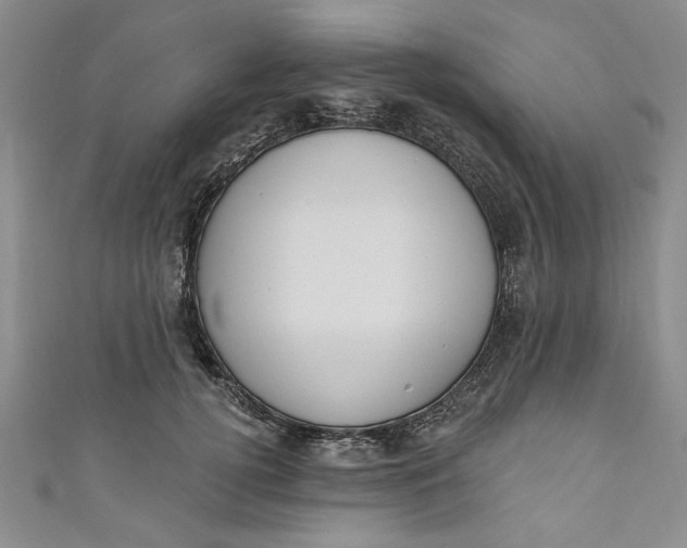 X0000110860752200907021415