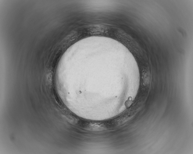 X0000110860753200907021415