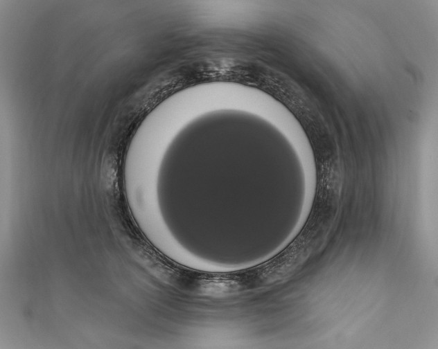 X0000110860754200907021415