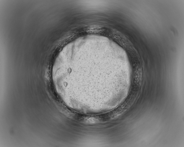 X0000110860755200907021415