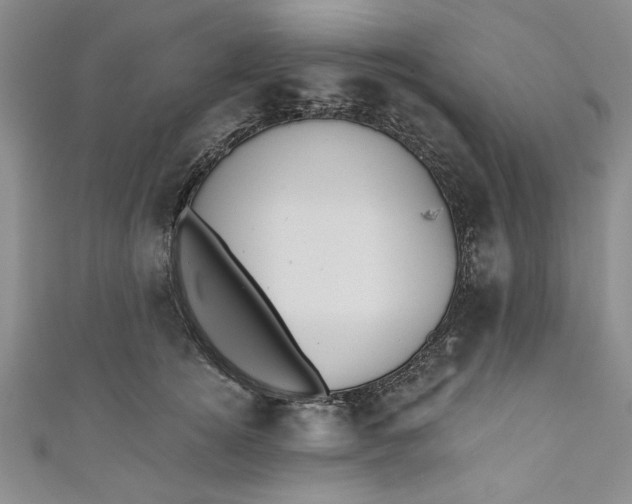 X0000110860756200907021415