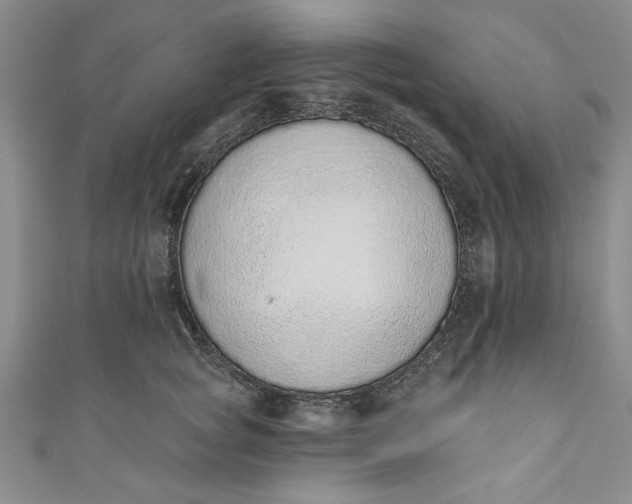 X0000110860757200907021415