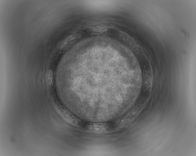 X0000110860758200907021415