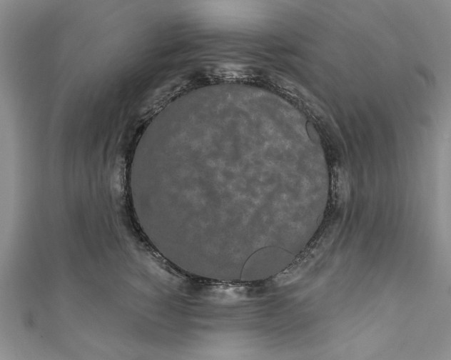 X0000110860760200907021415