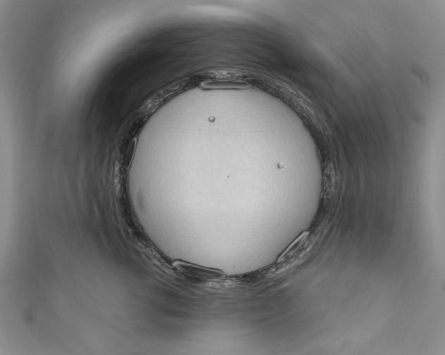 X0000110860762200907021415