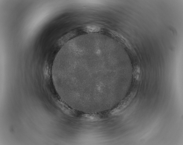 X0000110860763200907021416