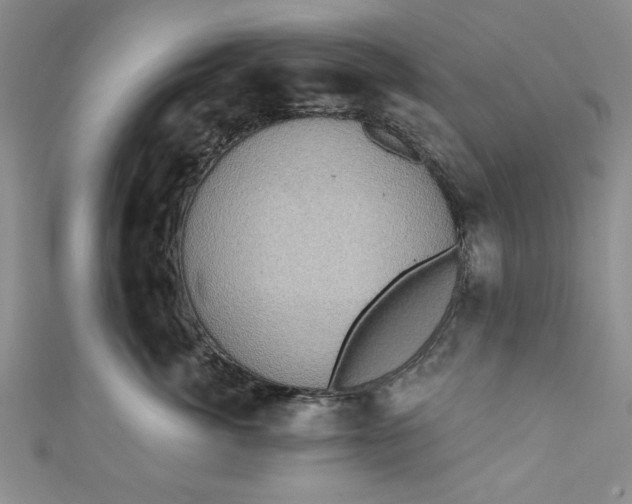 X0000110860764200907021416