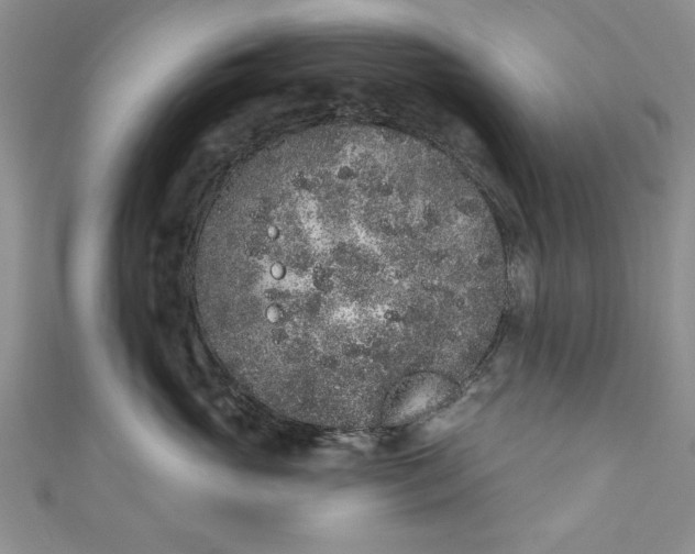 X0000110860765200907021416