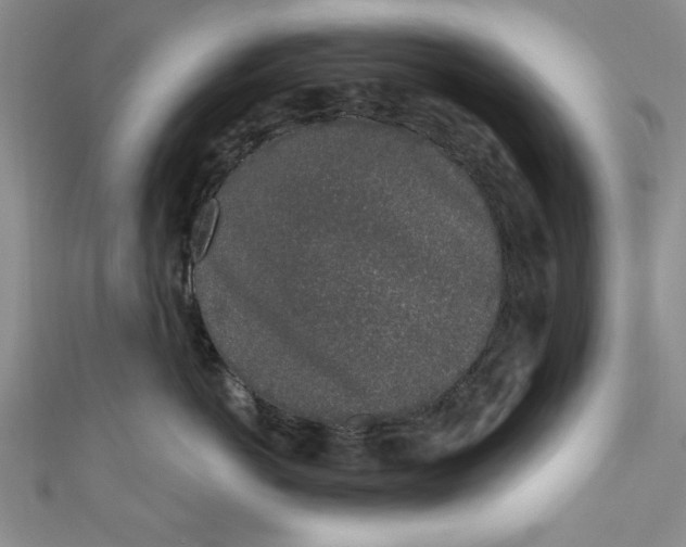 X0000110860766200907021416