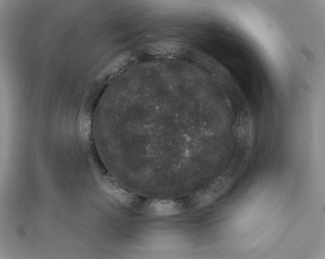 X0000110860767200907021416