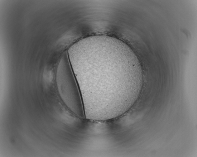 X0000110860768200907021416