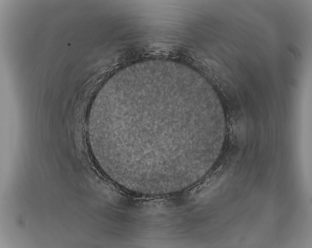 X0000110860769200907021415