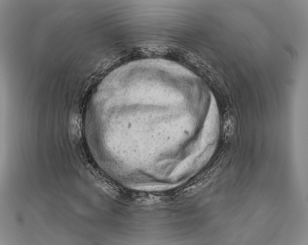 X0000110860772200907021415