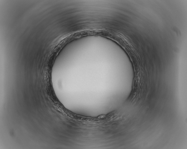 X0000110860773200907021415