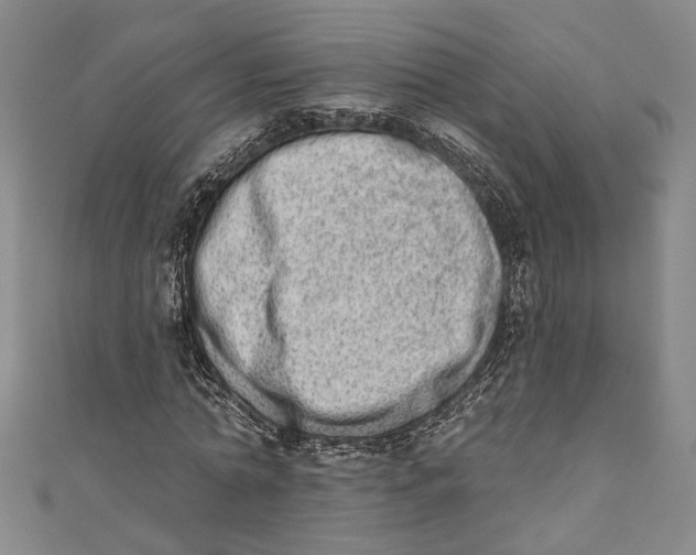 X0000110860774200907021415