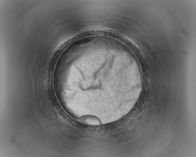 X0000110860775200907021415