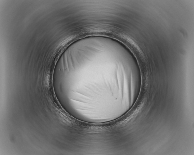 X0000110860777200907021415