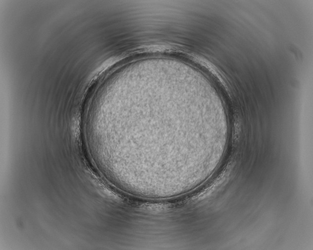 X0000110860778200907021415