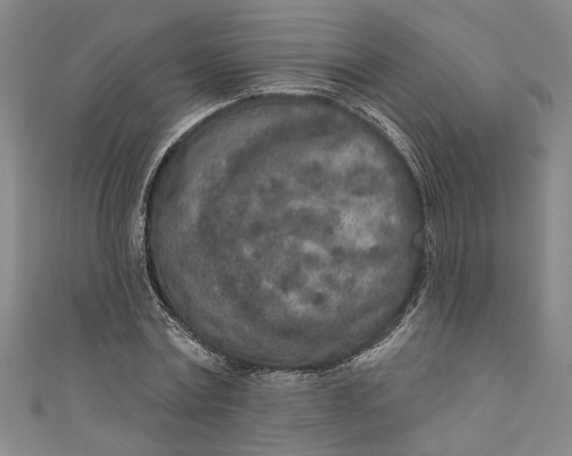 X0000110860779200907021415