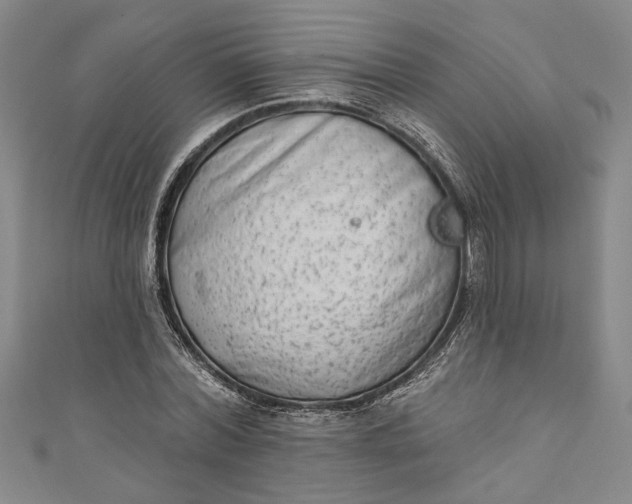 X0000110860780200907021415