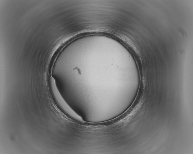 X0000110860781200907021415