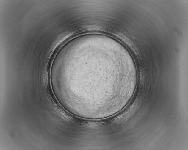 X0000110860782200907021415