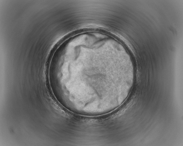 X0000110860783200907021415