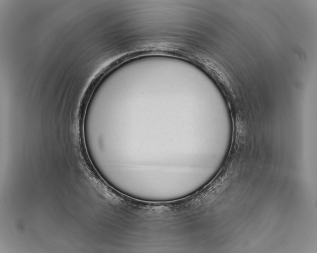 X0000110860784200907021415