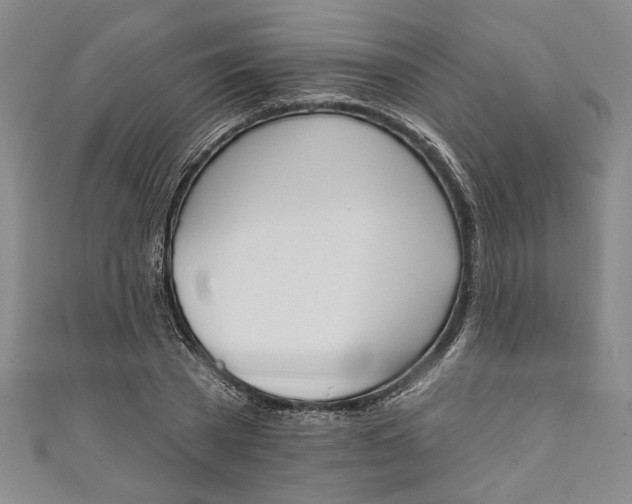 X0000110860785200907021415