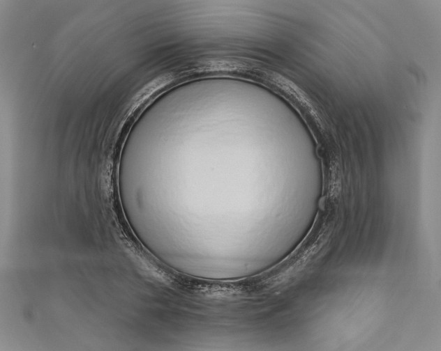 X0000110860786200907021415