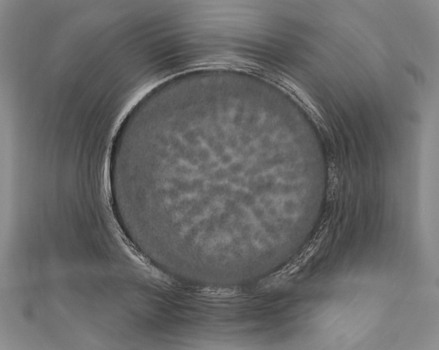 X0000110860788200907021415