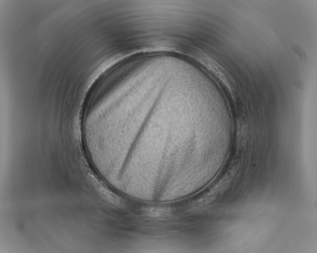 X0000110860789200907021415